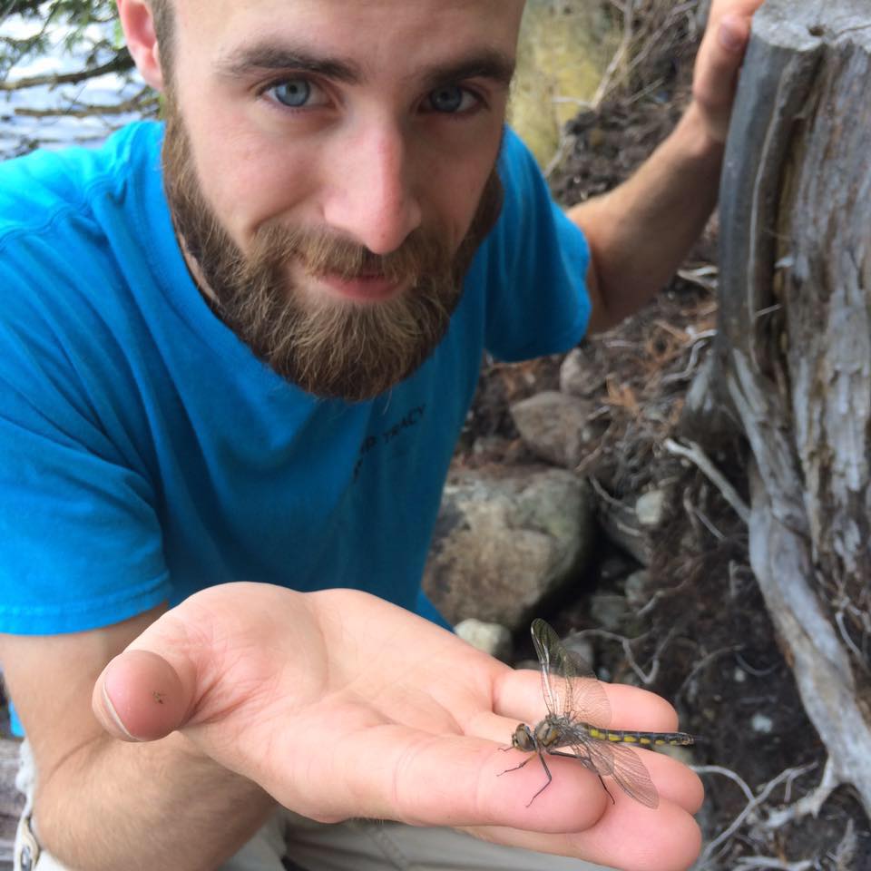 13315339_10154205680928850_4542400316501835224_n